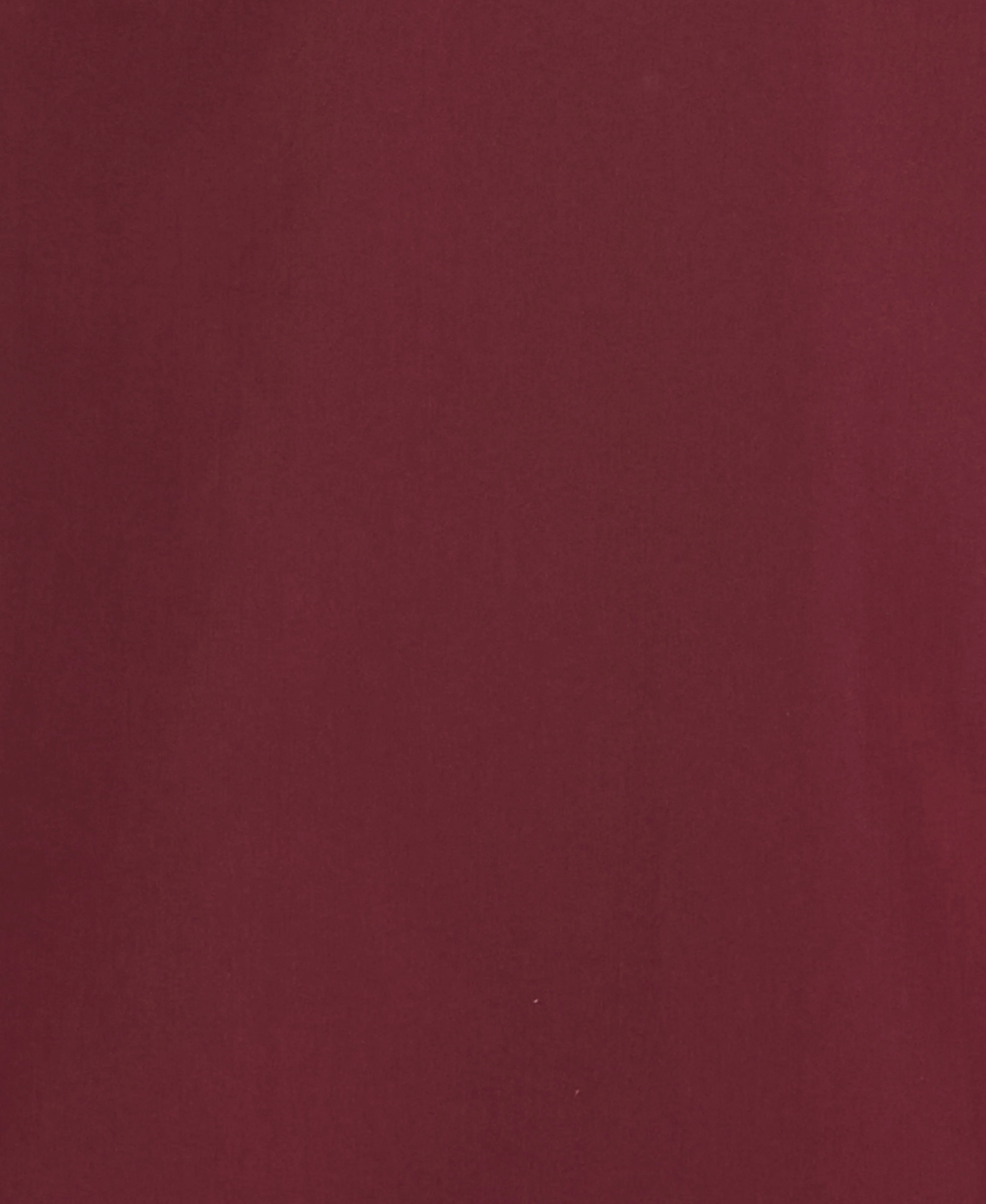Tonal Argyle Embroidered Shirt - Image 6